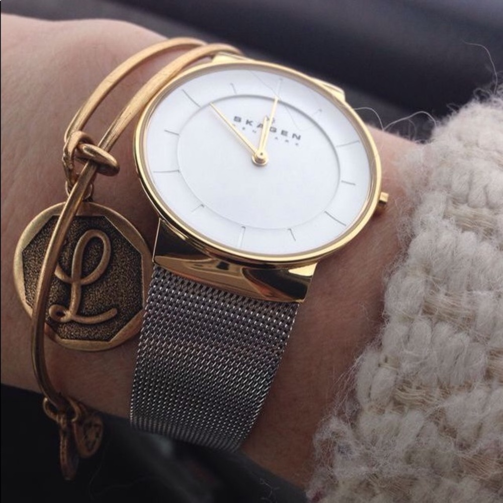 Skagen Stainless Steel Watch